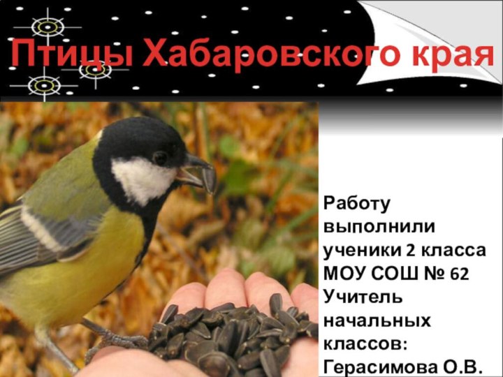 Птицы Хабаровского края Работу выполнилиученики 2 классаМОУ СОШ № 62Учитель начальных классов: Герасимова О.В.