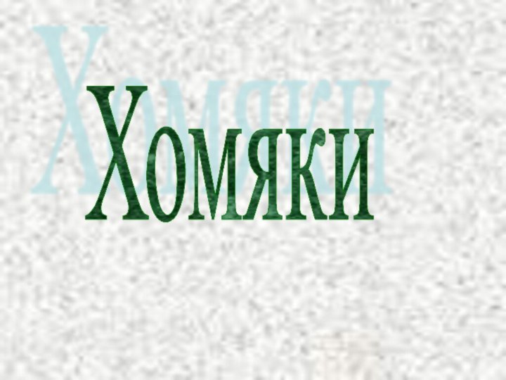 Хомяки