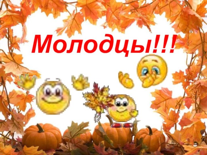 Молодцы!!!