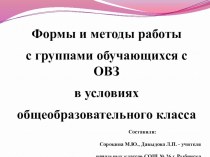 Формы и методы работы с группами обучающихся с ОВЗ в условиях общеобразовательного класса презентация к уроку