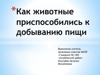 Как животные приспособились к добыванию пищи. презентация к уроку по окружающему миру (3 класс)