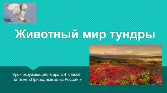 Презентация к уроку окружающего мира по теме Природные зоны России 4 класс УМК Школа России. презентация к уроку по окружающему миру (4 класс)