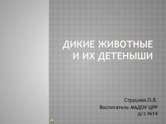 Знакомство с обитателями леса план-конспект занятия по окружающему миру (средняя группа) по теме