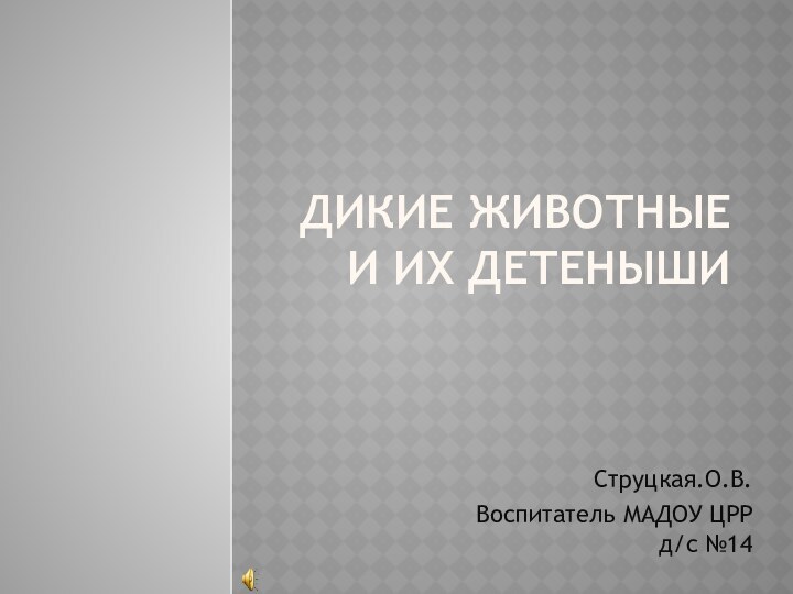 Дикие животные и их детенышиСтруцкая.О.В.Воспитатель МАДОУ ЦРР д/c №14