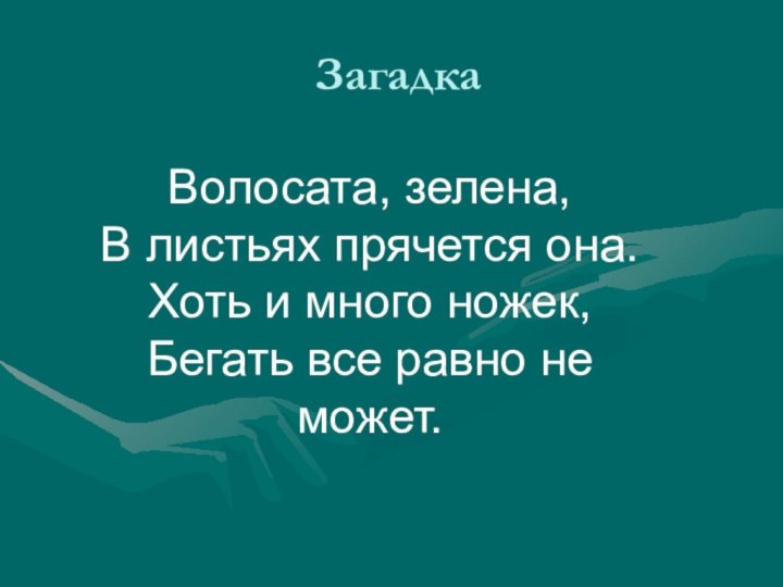 Загадка Волосата, зелена, В листьях прячется она. Хоть и много ножек, Бегать