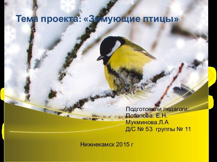 Тема проекта: «Зимующие птицы» Подготовили педагоги:Потапова. Е.Н.Мукминова.Л.А Д/С № 53 группы №