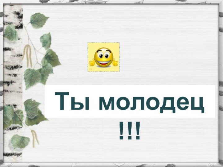 Ты молодец !!!