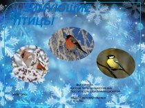 Зимующие птицы (загадки) презентация к уроку по окружающему миру (старшая группа) по теме