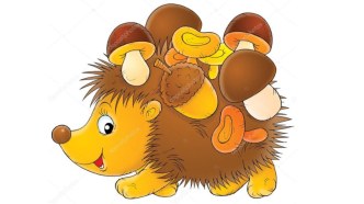 Презентация к беседе Как вести себя в лесу