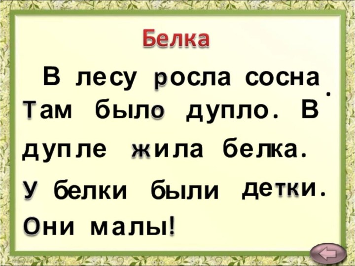 Влесуосласосна.амбылдупло.Вдуплеилабелка.белкибылидеи.нималы