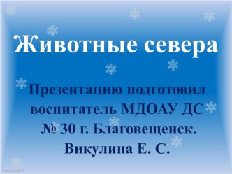 Презентация Животные Севера презентация к уроку по окружающему миру (подготовительная группа)