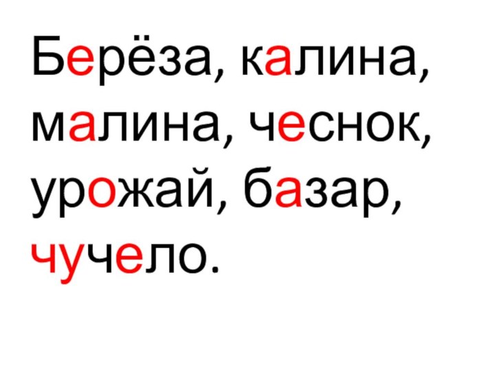 Берёза, калина, малина, чеснок, урожай, базар, чучело.