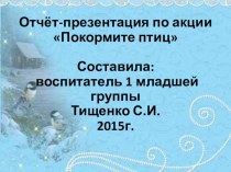 презентация отчет по акции Покормим птиц презентация к уроку (младшая группа)