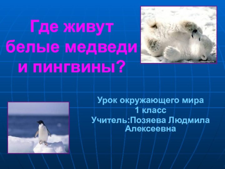 Где живут  белые медведи  и пингвины?Урок окружающего мира1 класс Учитель:Позяева Людмила Алексеевна