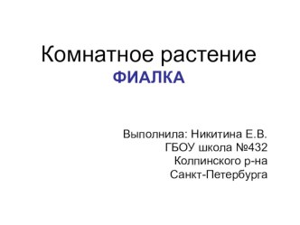 Презентация Комнатное растение презентация к уроку
