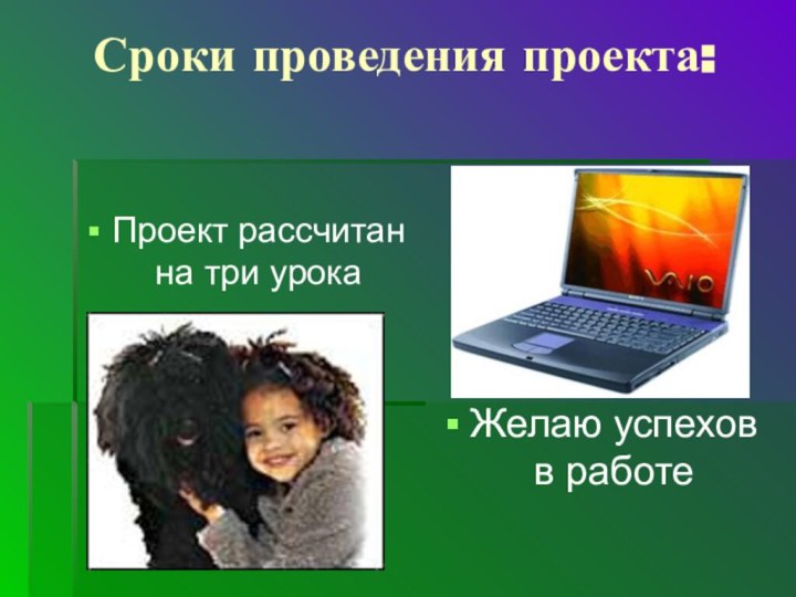 Сроки проведения проекта:Проект рассчитан на три урокаЖелаю успехов в работе