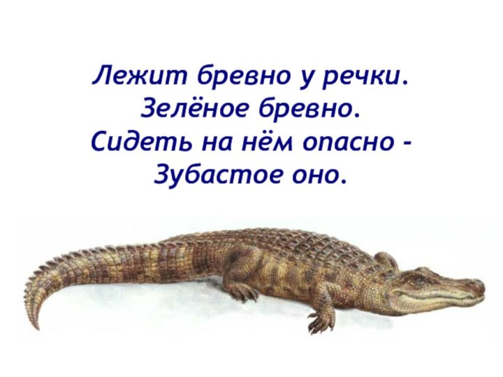 Лежит бревно у речки. Зелёное бревно. Сидеть на нём опасно - Зубастое оно. 