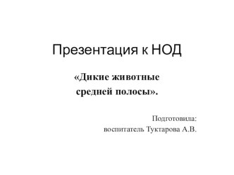 Конспект НОД Бюро находок. план-конспект занятия по развитию речи (подготовительная группа)