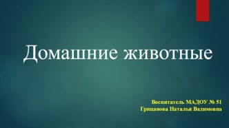 НОД по ознакомлению предметно социальным окружением, для второй младшей группе : Домашние животные план-конспект занятия по окружающему миру (младшая группа)