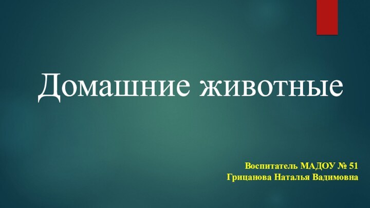 Домашние животныеВоспитатель МАДОУ № 51Грицанова Наталья Вадимовна