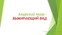 Амурский Тигр - ВЫМИРАЮЩИЙ ВИД проект по окружающему миру (4 класс)