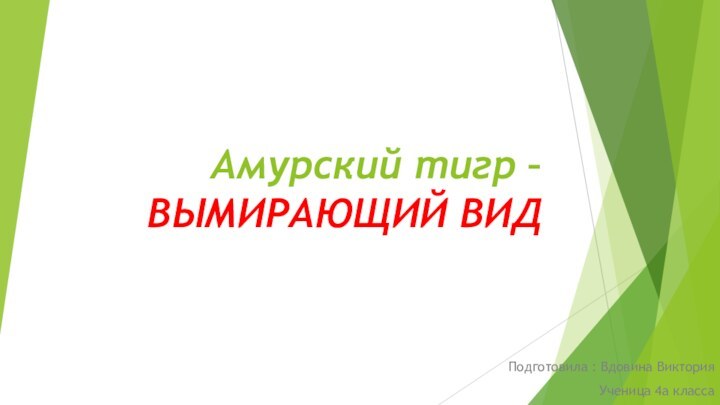 Амурский тигр –ВЫМИРАЮЩИЙ ВИДПодготовила : Вдовина ВикторияУченица 4а класса