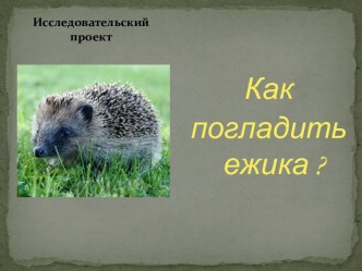 Проект Как погладить ёжика? презентация к занятию (младшая группа) по теме