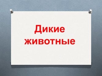 Презентация Дикие животные презентация для интерактивной доски по теме