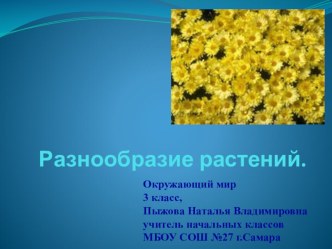 Урок окружающего мира по теме Разнообразие растений. 3-й класс план-конспект занятия по окружающему миру (3 класс)