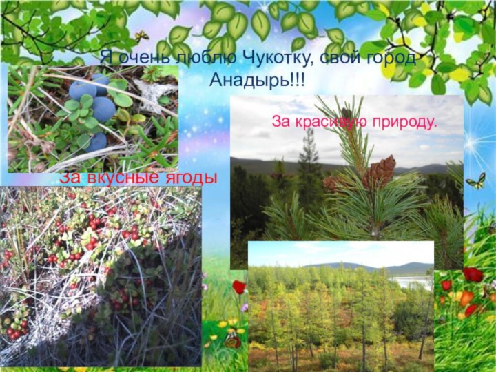 Я очень люблю Чукотку, свой город Анадырь!!!За вкусные ягодыЗа красивую природу.