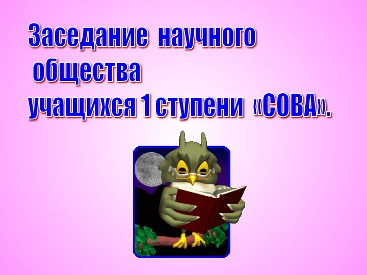 Заседание научного   общества  учащихся 1 ступени «СОВА».