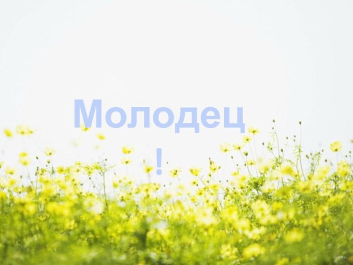 Молодец!