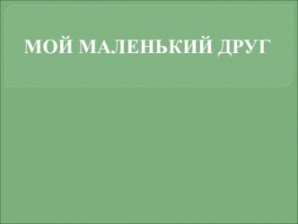 Мой маленький друг презентация к уроку по конструированию, ручному труду (средняя группа)