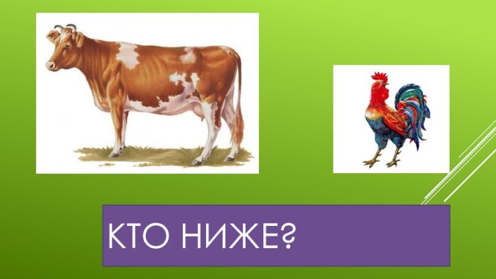 Кто ниже?