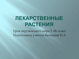 Презентация к уроку окружающего мира Лекарственные растения Батищева Н.А презентация к уроку по окружающему миру (2 класс)