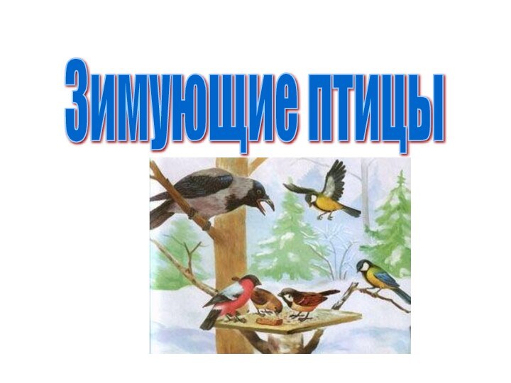 Зимующие птицы