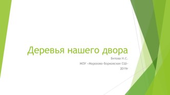 Презентация к конспекту Деревья нашего участка презентация к уроку по окружающему миру (старшая группа)