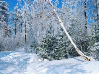 презентация к НОД В гостях у сказки Маша и медведьгостях презентация