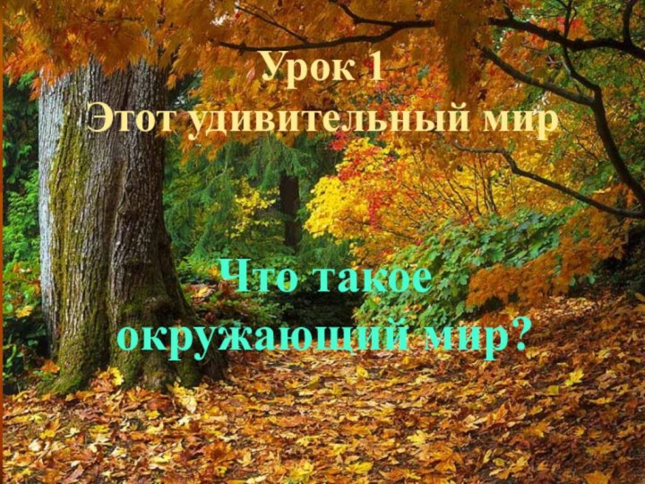 Урок 1 Этот удивительный мирЧто такое  окружающий мир?