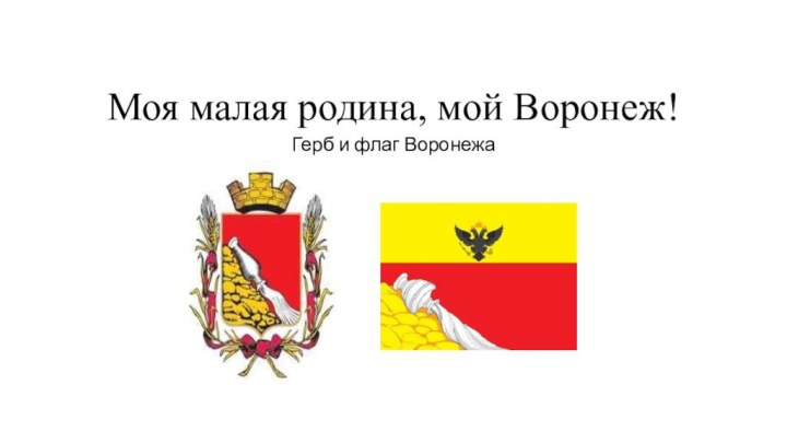 Моя малая родина, мой Воронеж!Герб и флаг Воронежа