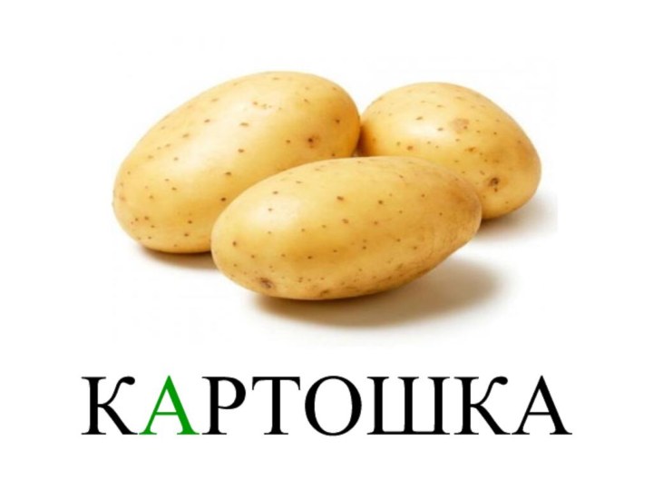 КАРТОШКА