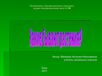 Презентация Виды растений 2 класс презентация к уроку по окружающему миру (2 класс) по теме