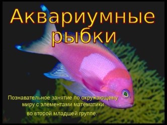 Презентация Аквариумные рыбки презентация к уроку по окружающему миру (младшая группа)