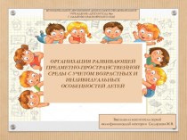 Организация РППС с учетом возрастных и индивидуальных особенностей детей презентация