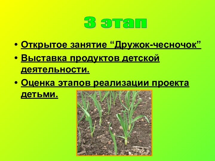 Открытое занятие “Дружок-чесночок” Выставка продуктов детской деятельности. Оценка этапов реализации проекта детьми. 3 этап