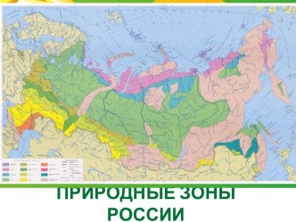 Урок по окружающему миру во 2-м классе : Животный мир леса план-конспект урока по окружающему миру (2 класс) по теме