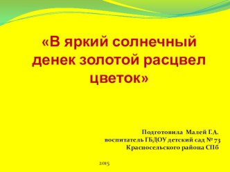 Презентация В яркий солнечный денек золотой расцвел цветок презентация к уроку по окружающему миру (подготовительная группа) по теме