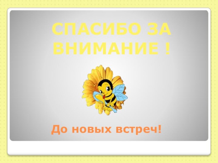 До новых встреч!СПАСИБО ЗА ВНИМАНИЕ !