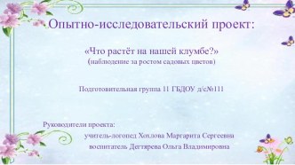 Опытно-исследовательский проект Что растёт на нашей клумбе? методическая разработка по окружающему миру (подготовительная группа)