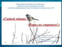 Презентация. Как мы работали над проектом Сытой птице - мороз не страшен! проект (старшая группа)